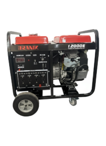 Grupo Electrógeno BRANIK 12000E Standard 11 KVA